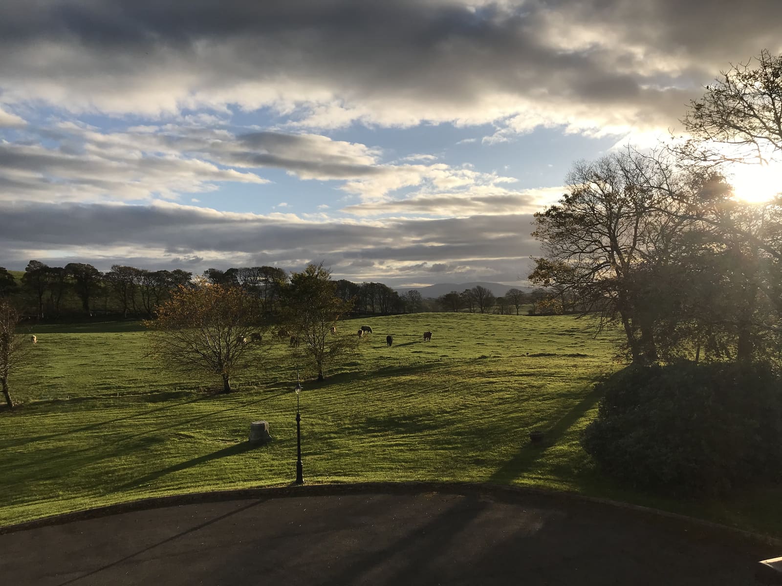 A path through the grounds at Cavangarden House