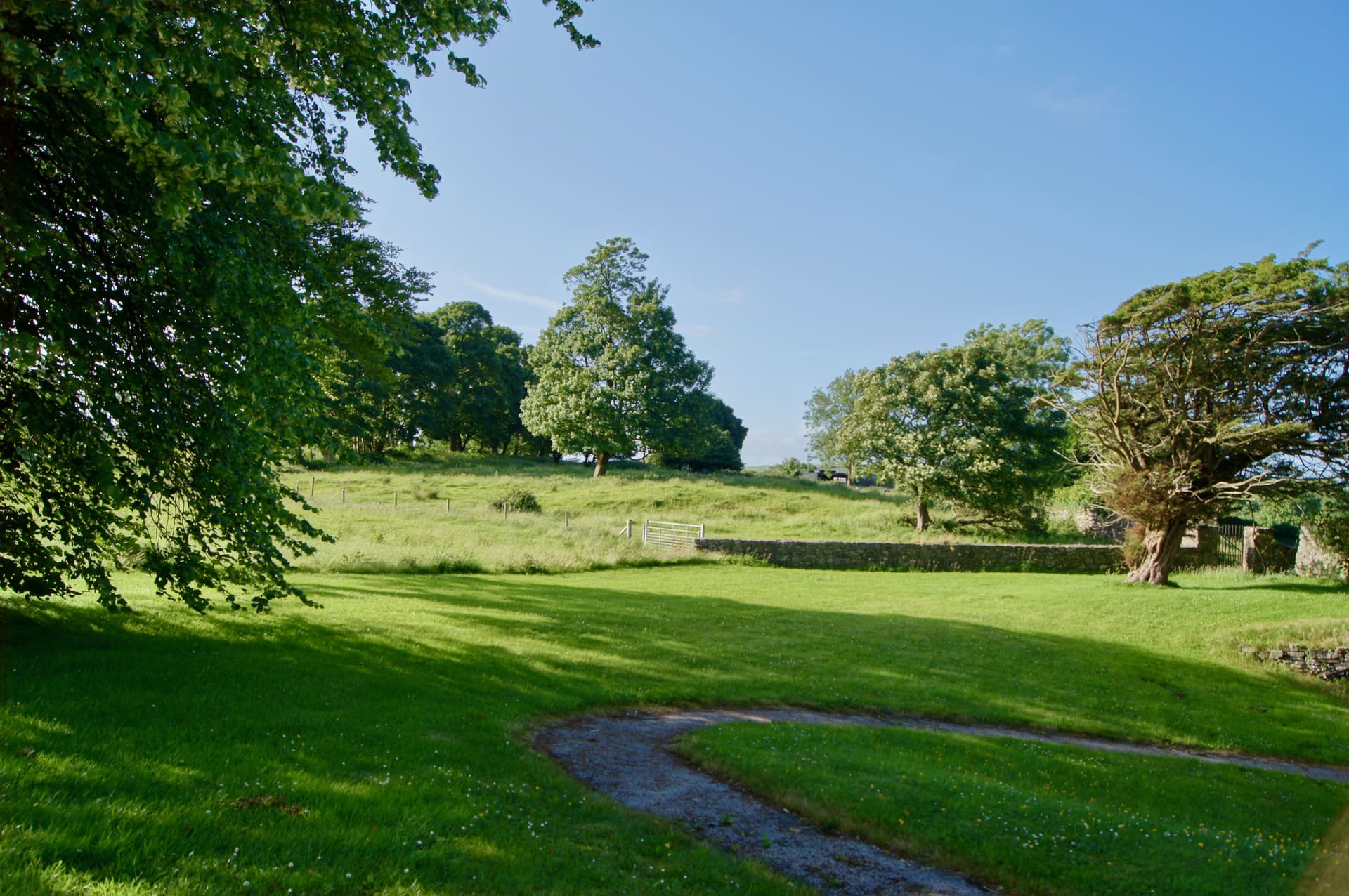 Open lawn and stone wall on the grounds